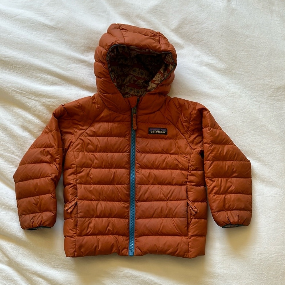 Patagonia Down Sweater Jacket Hoodie